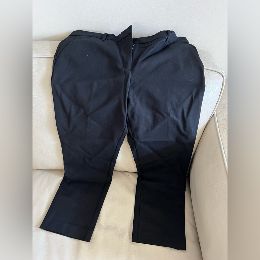 Ann Taylor Petite Black The Ankle Pant